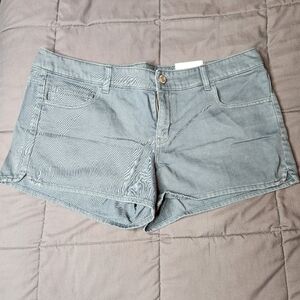 American Eagle A True Original Cotton Shorts
